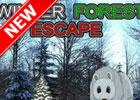 play Winter Forest Escape
