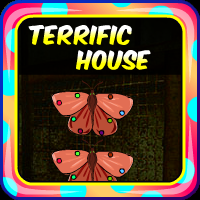 Terrific House Escape