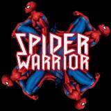 play Spider Warrior
