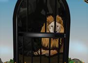Rescue The Lion From Forest