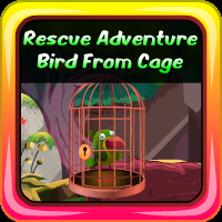 Rescue Adventure Bird From Cage
