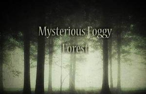 play Mysterious Foggy Forest Escape