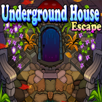 Underground House Escape