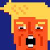 Democracy Vs Donald Trump - Protest Simulator