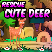 Rescue Cute Deer