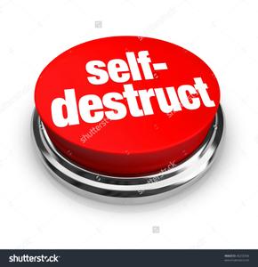 play Self-Destruct
