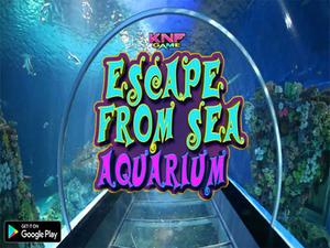Escape From Sea Aquarium