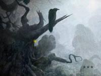 play Mysterious Foggy Forest Escape