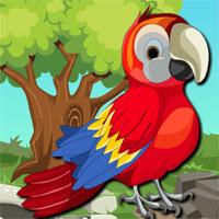 Zoozoo-Scarlet-Bird-Escape