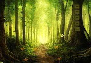 Lost Girl Fantasy Forest Escape