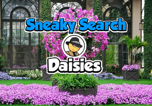Sneaky Search Daisies