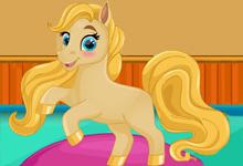 play Princess Pet Beauty Salon