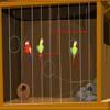 play City Parrot Rescue,