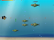 Fish Adventure Game