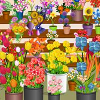 play Flower-Shop-Check-Up