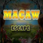 play 8B Macaw Escape