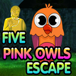 Five Pink Owls Escape
