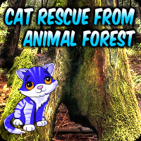 Cat Rescue From Animal Forest