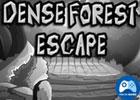 play Dense Forest Escape