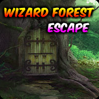 Wizard Forest Escape