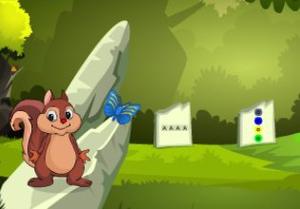 play Forest Adventure