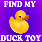 Find My Duck Toy