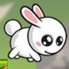 White Tail Bunny Lost In Mushroom Forest