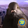 Pigeon Simulator: Town Bird Full