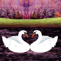 play Escape Game Save The Swan