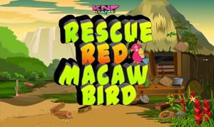 Rescue Red Macaw Bird