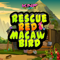 Rescue Red Macaw Bird