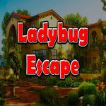 8B Ladybug Escape