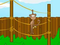 play Mission Escape - Zoo