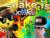 play Snake.Is Mlg Edition