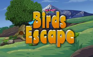 Birds Escape