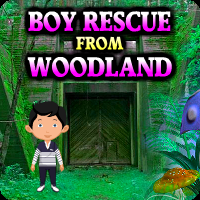 play Boy Rescue From Woodland Escape