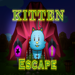 play 8B Kitten Escape