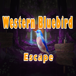 play 8B Western Bluebird Escape