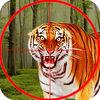 Special Hero Wild Animals Hunt