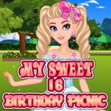 play My Sweet 16 Birthday Picnic