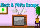 play Black And White Escape Lab