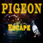 8B Pigeon Escape