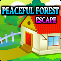 Peaceful Forest Escape