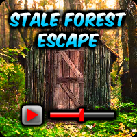 Stale Forest Escape Walkthrough