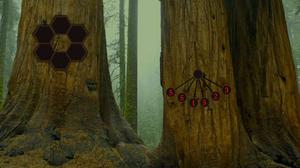 play Amazing Redwood Forest Escape