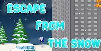 play Escape From The Snow