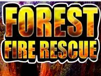 play Forest Fire Rescue