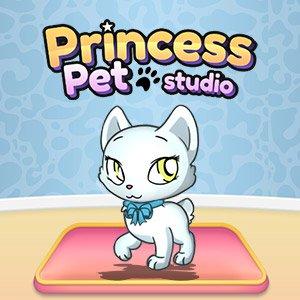 play Princess Pet Studio