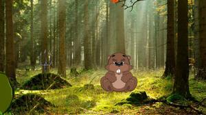 play Beaver Forest Escape