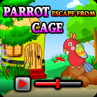 Parrot Escape From Cage Walkthrough